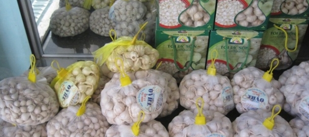 Hành tỏi Lý Sơn Hành tỏi Lý Sơn